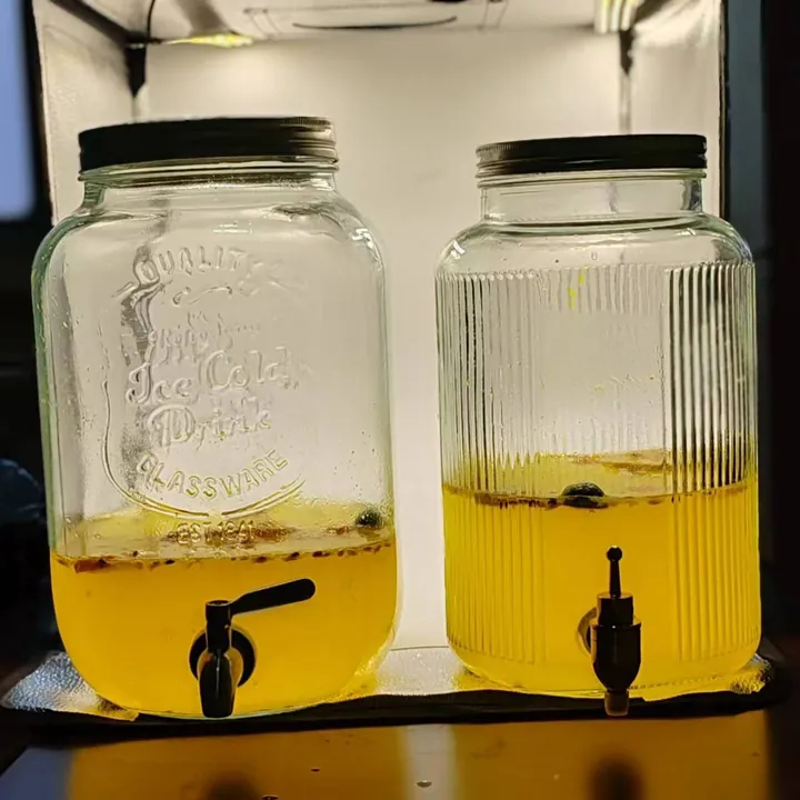 Glass beverage dispensers with taps in serving scene