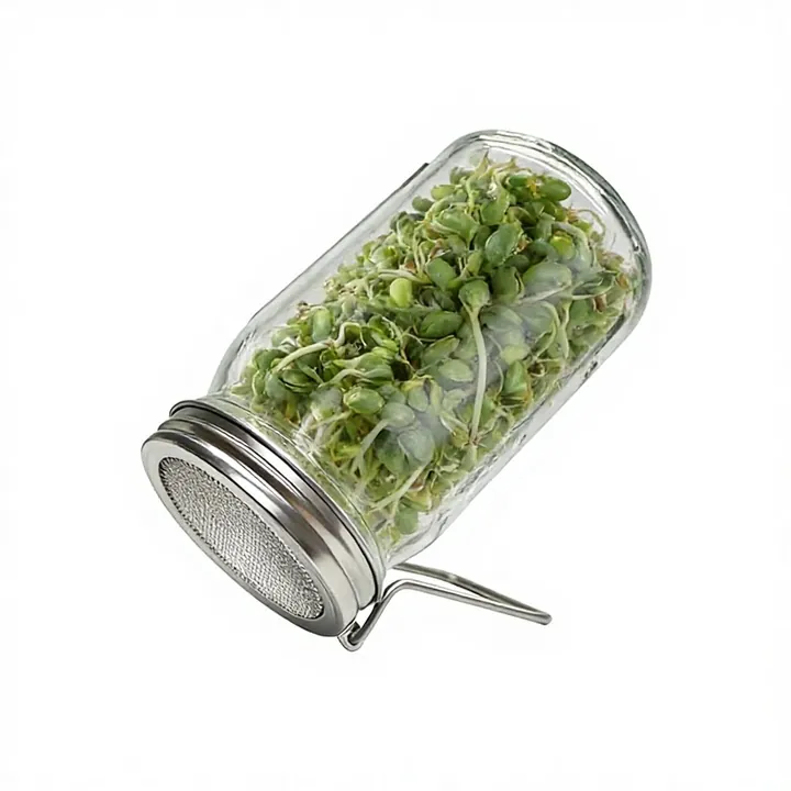 Bocal en verre pour germination, avec couvercle en filet et socle