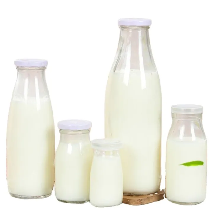 Fünf Milchflaschen aus Glas mit weißen Verschlüssen, nebeneinander aufgereiht